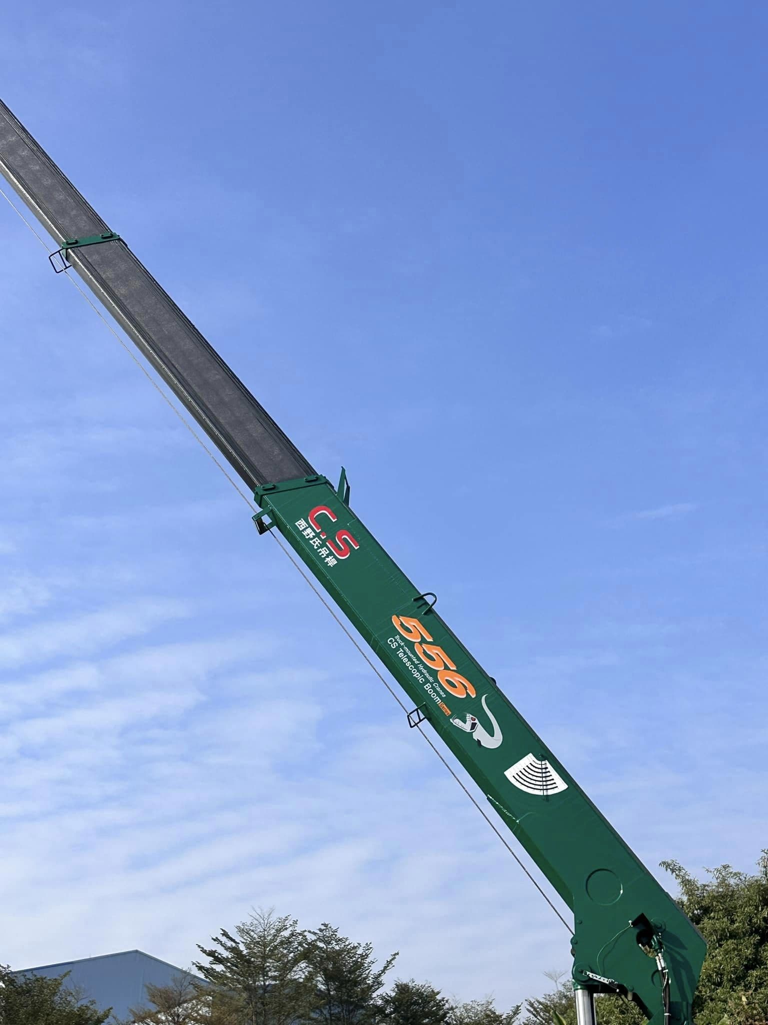 556綠